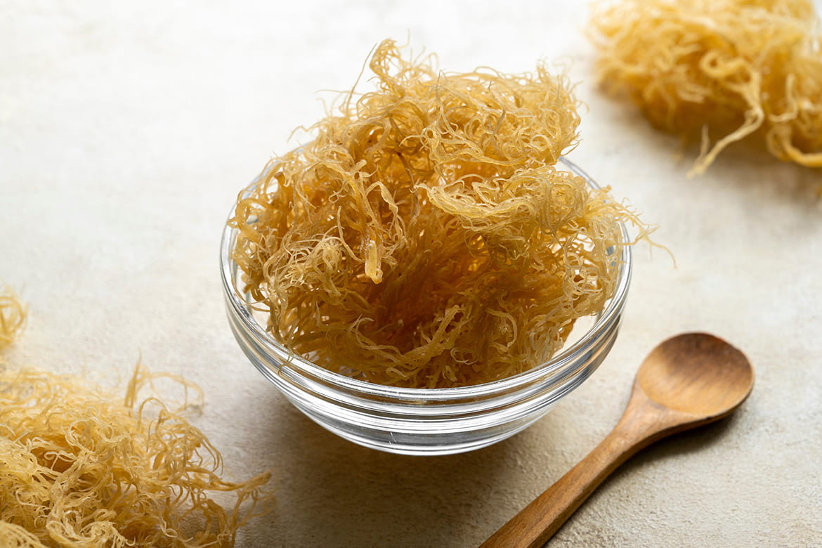 Wildcrafted Jamaican Sea Moss - Gold